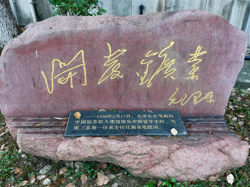 image8.png