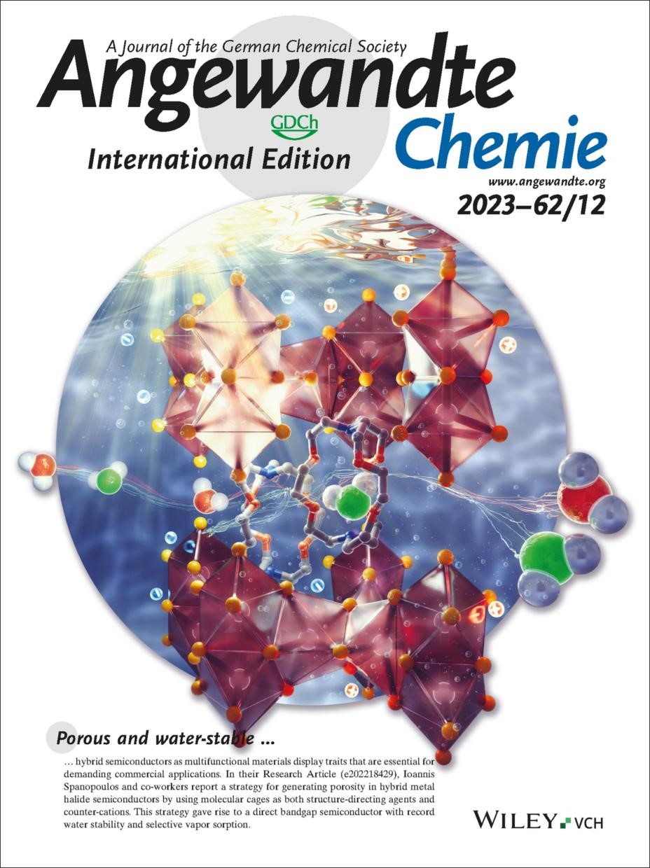 CDUT Publishes Latest Research Achievement in Angewandte Chemie 